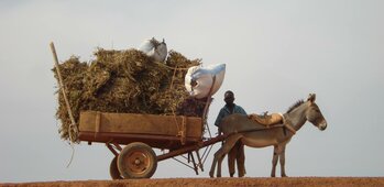 Nanga-Boussoum en Carladès